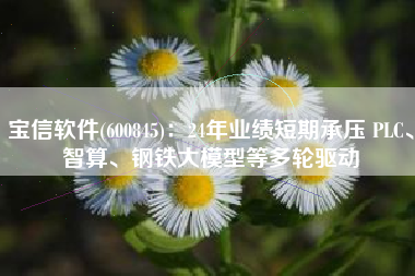 宝信软件(600845)：24年业绩短期承压 PLC、智算、钢铁大模型等多轮驱动