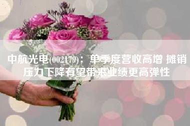 中航光电(002179)：单季度营收高增 摊销压力下降有望带来业绩更高弹性