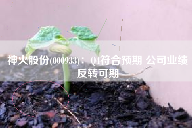 神火股份(000933)：Q4符合预期 公司业绩反转可期