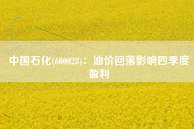 中国石化(600028)：油价回落影响四季度盈利