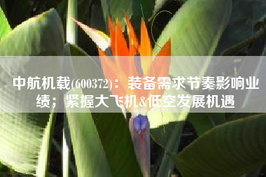 中航机载(600372)：装备需求节奏影响业绩；紧握大飞机&低空发展机遇