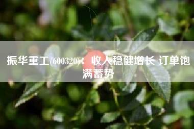 振华重工(600320)：收入稳健增长 订单饱满蓄势