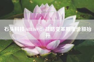 石头科技(688169)：战略变革期重份额抬升