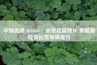 中国能建(601868)：业绩稳健增长 新能源投资运营规模提升