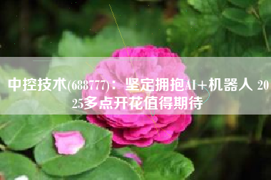 中控技术(688777)：坚定拥抱AI+机器人 2025多点开花值得期待