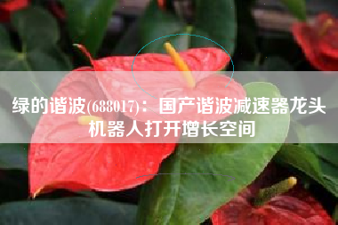 绿的谐波(688017)：国产谐波减速器龙头 机器人打开增长空间