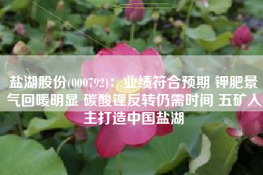 盐湖股份(000792)：业绩符合预期 钾肥景气回暖明显 碳酸锂反转仍需时间 五矿入主打造中国盐湖