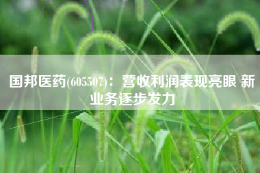 国邦医药(605507)：营收利润表现亮眼 新业务逐步发力