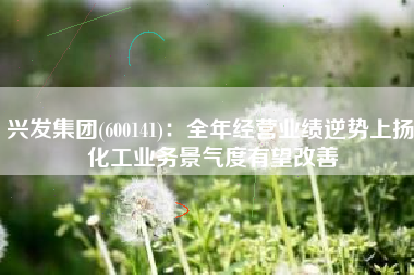 兴发集团(600141)：全年经营业绩逆势上扬 化工业务景气度有望改善