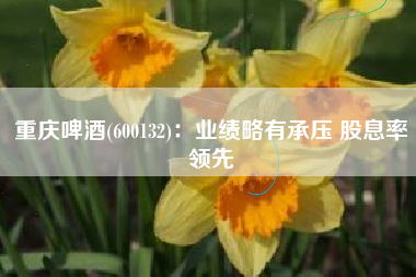 重庆啤酒(600132)：业绩略有承压 股息率领先
