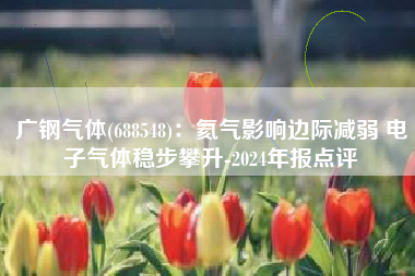 广钢气体(688548)：氦气影响边际减弱 电子气体稳步攀升-2024年报点评