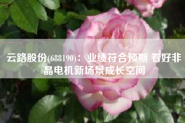云路股份(688190)：业绩符合预期 看好非晶电机新场景成长空间