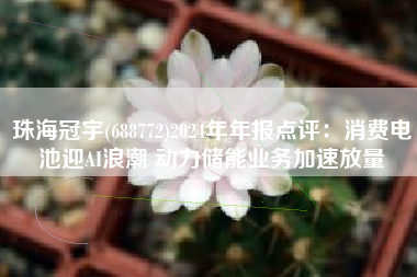 珠海冠宇(688772)2024年年报点评：消费电池迎AI浪潮 动力储能业务加速放量