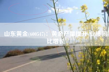 山东黄金(600547)：黄金产量提升 业绩同比增长