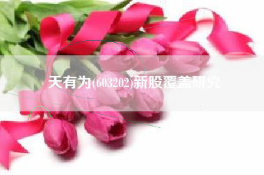天有为(603202)新股覆盖研究