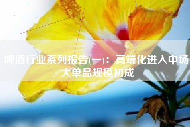 啤酒行业系列报告(一)：高端化进入中场 大单品规模初成