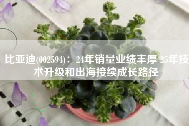 比亚迪(002594)：24年销量业绩丰厚 25年技术升级和出海接续成长路径