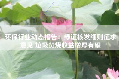 环保行业动态报告：绿证核发细则征求意见 垃圾焚烧收益增厚有望