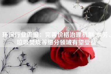 环保行业周报：完善价格治理机制 水务、垃圾焚烧等细分领域有望受益