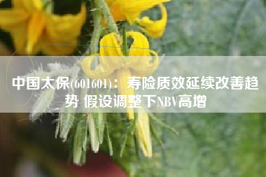 中国太保(601601)：寿险质效延续改善趋势 假设调整下NBV高增