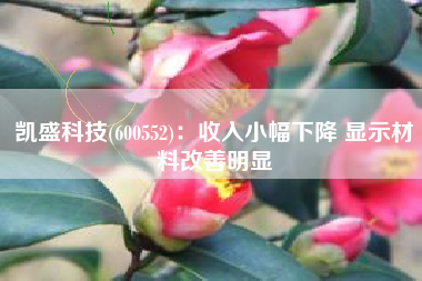 凯盛科技(600552)：收入小幅下降 显示材料改善明显