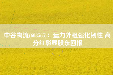 中谷物流(603565)：运力外租强化韧性 高分红彰显股东回报
