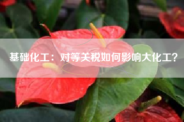 基础化工：对等关税如何影响大化工？