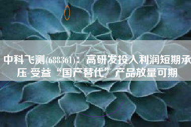 中科飞测(688361)：高研发投入利润短期承压 受益“国产替代”产品放量可期