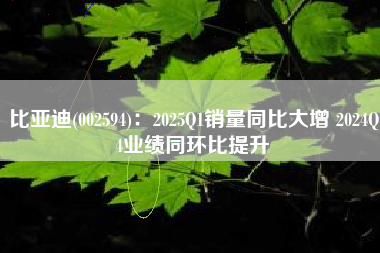 比亚迪(002594)：2025Q1销量同比大增 2024Q4业绩同环比提升