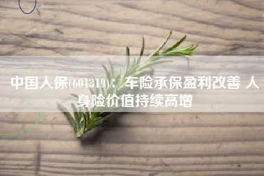 中国人保(601319)：车险承保盈利改善 人身险价值持续高增
