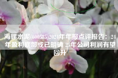 海螺水泥(600585)2024年年报点评报告：24年盈利底部或已明确 25年公司利润有望回升