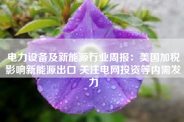 电力设备及新能源行业周报：美国加税影响新能源出口 关注电网投资等内需发力