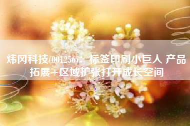 炜冈科技(001256)：标签印刷小巨人 产品拓展+区域扩张打开成长空间