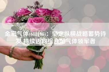 金宏气体(688106)：坚定纵横战略蓄势待发 持续迈向综合型气体领军者