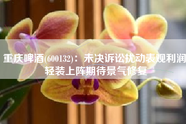 重庆啤酒(600132)：未决诉讼扰动表观利润 轻装上阵期待景气修复