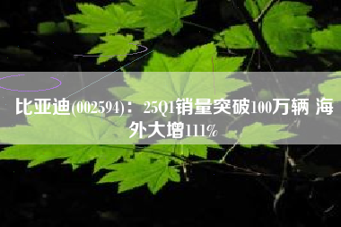 比亚迪(002594)：25Q1销量突破100万辆 海外大增111%