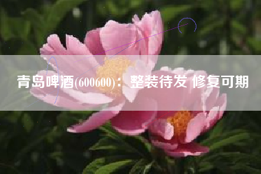 青岛啤酒(600600)：整装待发 修复可期