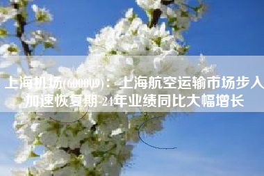 上海机场(600009)：上海航空运输市场步入加速恢复期 24年业绩同比大幅增长