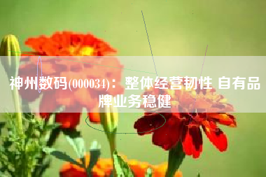 神州数码(000034)：整体经营韧性 自有品牌业务稳健