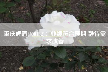 重庆啤酒(600132)：业绩符合预期 静待需求改善