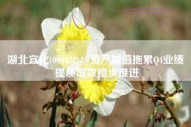 湖北宜化(000422)：资产减值拖累Q4业绩 提质增效稳步推进