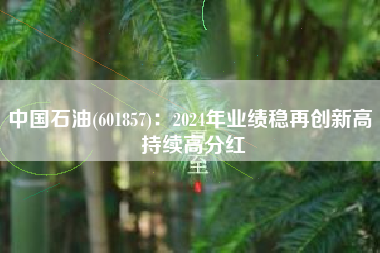 中国石油(601857)：2024年业绩稳再创新高 持续高分红