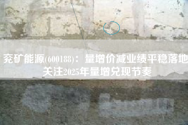 兖矿能源(600188)：量增价减业绩平稳落地 关注2025年量增兑现节奏