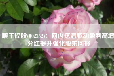 顺丰控股(002352)：向内挖潜驱动盈利高增 分红提升强化股东回报