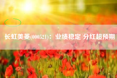 长虹美菱(000521)：业绩稳定 分红超预期