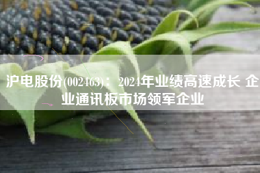 沪电股份(002463)：2024年业绩高速成长 企业通讯板市场领军企业