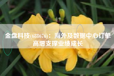 金盘科技(688676)：海外及数据中心订单高增支撑业绩成长