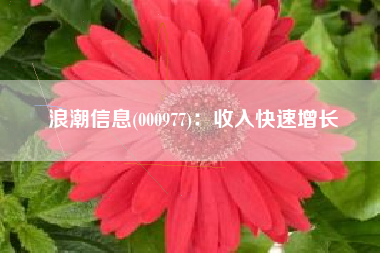浪潮信息(000977)：收入快速增长