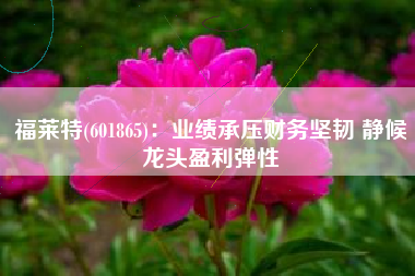 福莱特(601865)：业绩承压财务坚韧 静候龙头盈利弹性