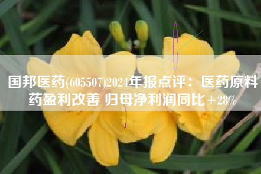 国邦医药(605507)2024年报点评：医药原料药盈利改善 归母净利润同比+28%